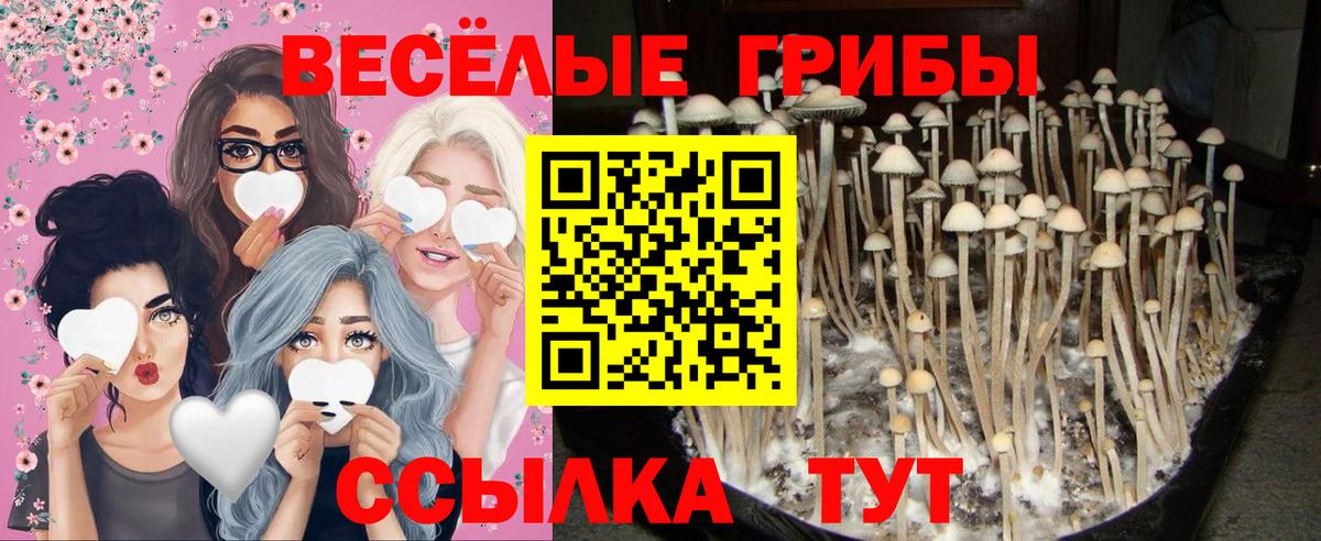 Отрадное  Псилоцибиновые грибы Psilocybe  Галлюциногенные грибы Psilocybine cubensis  где можно купить   Вход с VPN 